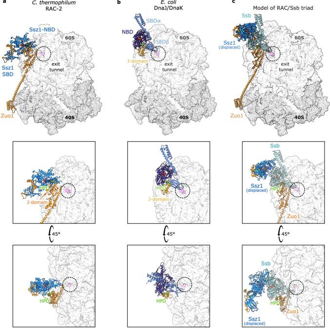 https://cdn.ncbi.nlm.nih.gov/pmc/blobs/224d/10191838/166a7cb44002/41594_2023_973_Fig13_ESM.jpg