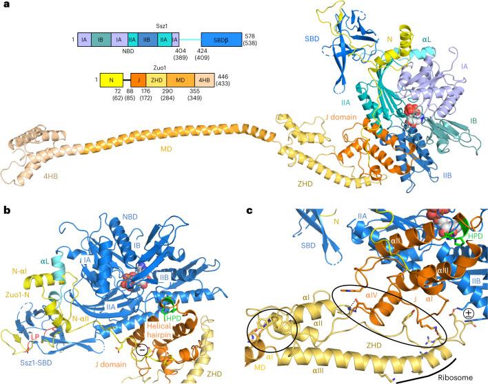 https://cdn.ncbi.nlm.nih.gov/pmc/blobs/224d/10191838/366b5db54041/41594_2023_973_Fig1_HTML.jpg