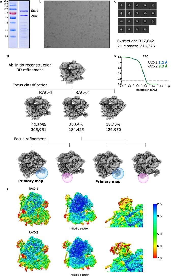 https://cdn.ncbi.nlm.nih.gov/pmc/blobs/224d/10191838/3cee633f4d01/41594_2023_973_Fig5_ESM.jpg