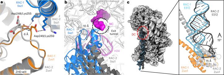 https://cdn.ncbi.nlm.nih.gov/pmc/blobs/224d/10191838/79a4c89c263f/41594_2023_973_Fig3_HTML.jpg