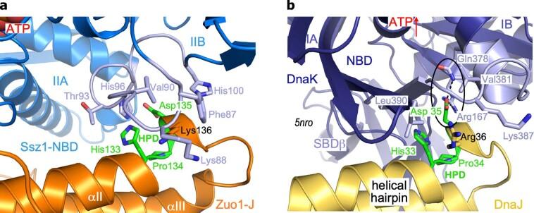 https://cdn.ncbi.nlm.nih.gov/pmc/blobs/224d/10191838/e11555f2fc8c/41594_2023_973_Fig8_ESM.jpg
