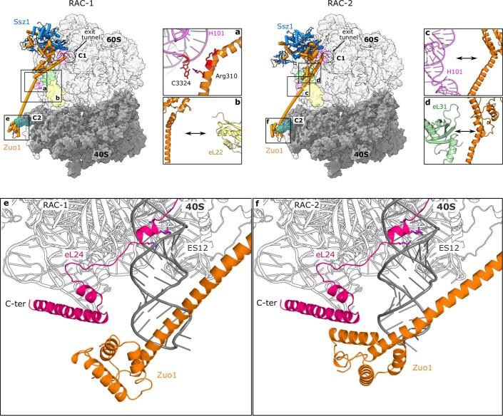 https://cdn.ncbi.nlm.nih.gov/pmc/blobs/224d/10191838/e6c38756d887/41594_2023_973_Fig12_ESM.jpg