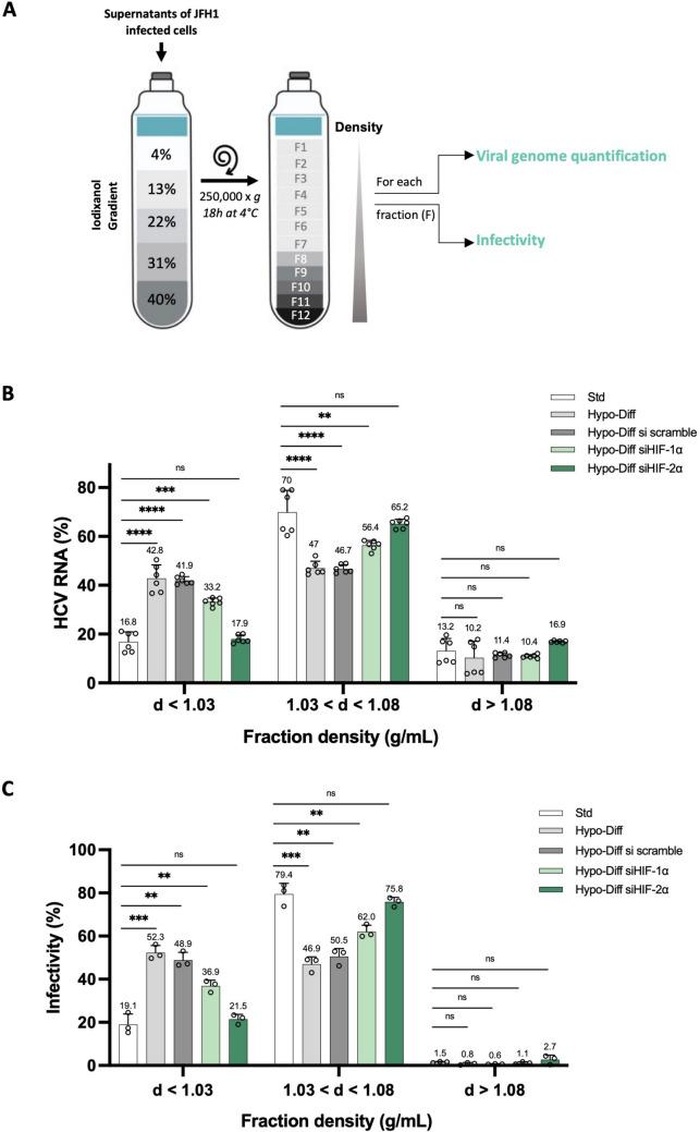 https://cdn.ncbi.nlm.nih.gov/pmc/blobs/2253/12176712/2d2dcfccedc0/18_2025_5739_Fig5_HTML.jpg