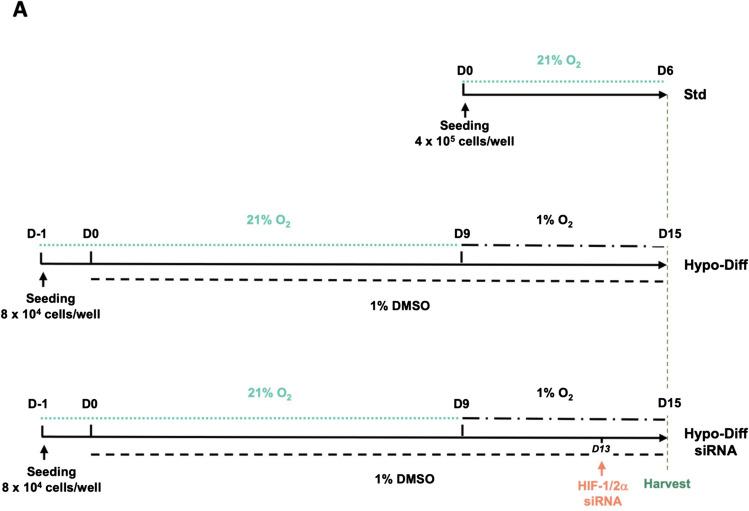 https://cdn.ncbi.nlm.nih.gov/pmc/blobs/2253/12176712/3ada214324a7/18_2025_5739_Fig1a_HTML.jpg