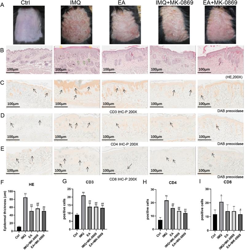 https://cdn.ncbi.nlm.nih.gov/pmc/blobs/2255/10785156/3b43a99d50a9/gr7.jpg