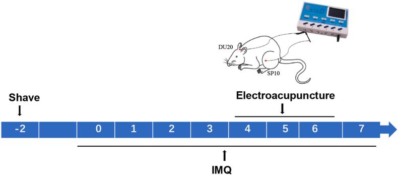 https://cdn.ncbi.nlm.nih.gov/pmc/blobs/2255/10785156/ec077227248b/gr1.jpg