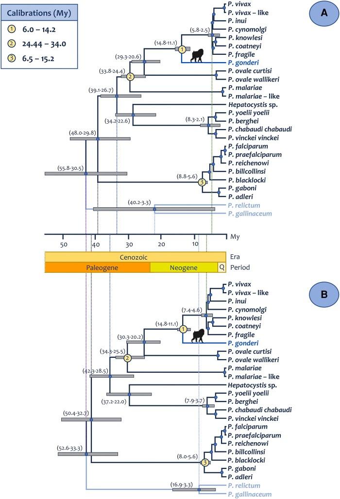 https://cdn.ncbi.nlm.nih.gov/pmc/blobs/2255/10901558/3b1cfcd7f03e/evae027f6.jpg