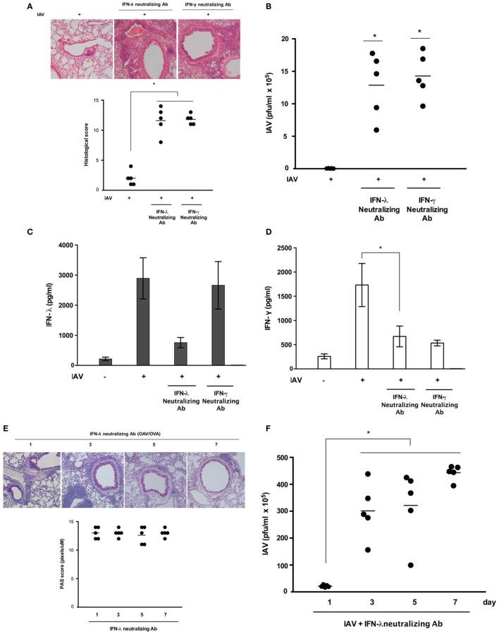 https://cdn.ncbi.nlm.nih.gov/pmc/blobs/2255/5966536/b3d0f03fa1ad/fimmu-09-00986-g004a.jpg