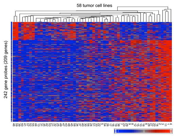 https://cdn.ncbi.nlm.nih.gov/pmc/blobs/2256/2939609/f981ebf2d6e5/1755-8794-3-37-2.jpg