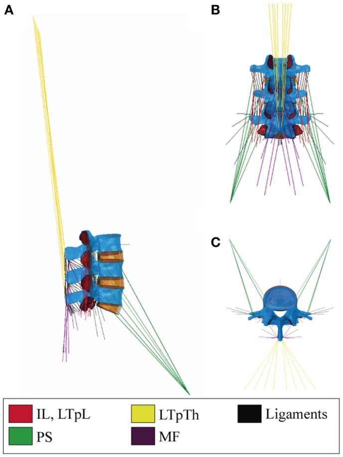 https://cdn.ncbi.nlm.nih.gov/pmc/blobs/2256/4525063/cb8fc52e0fbd/fbioe-03-00111-g001.jpg