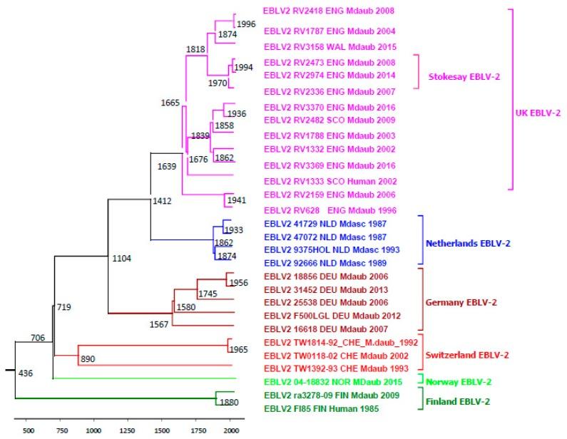 https://cdn.ncbi.nlm.nih.gov/pmc/blobs/2256/5796105/4d62eee2c4bc/ijms-19-00156-g003.jpg