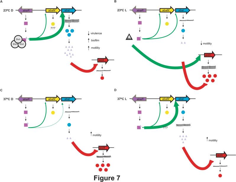 https://cdn.ncbi.nlm.nih.gov/pmc/blobs/2256/8239052/02ce6af26572/41598_2021_92845_Fig7_HTML.jpg