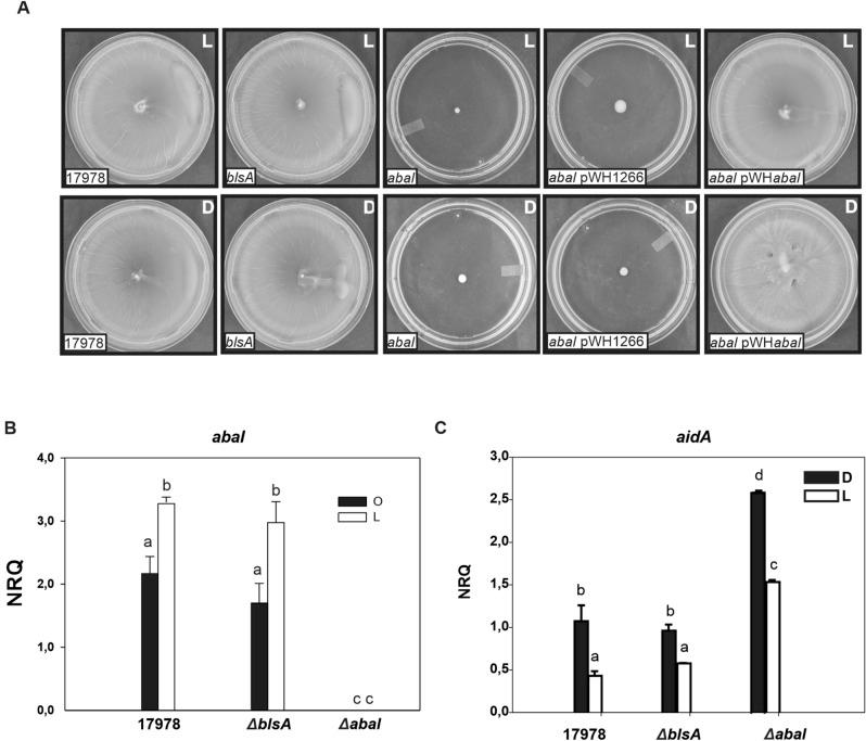 https://cdn.ncbi.nlm.nih.gov/pmc/blobs/2256/8239052/2e085dbd6b52/41598_2021_92845_Fig6_HTML.jpg