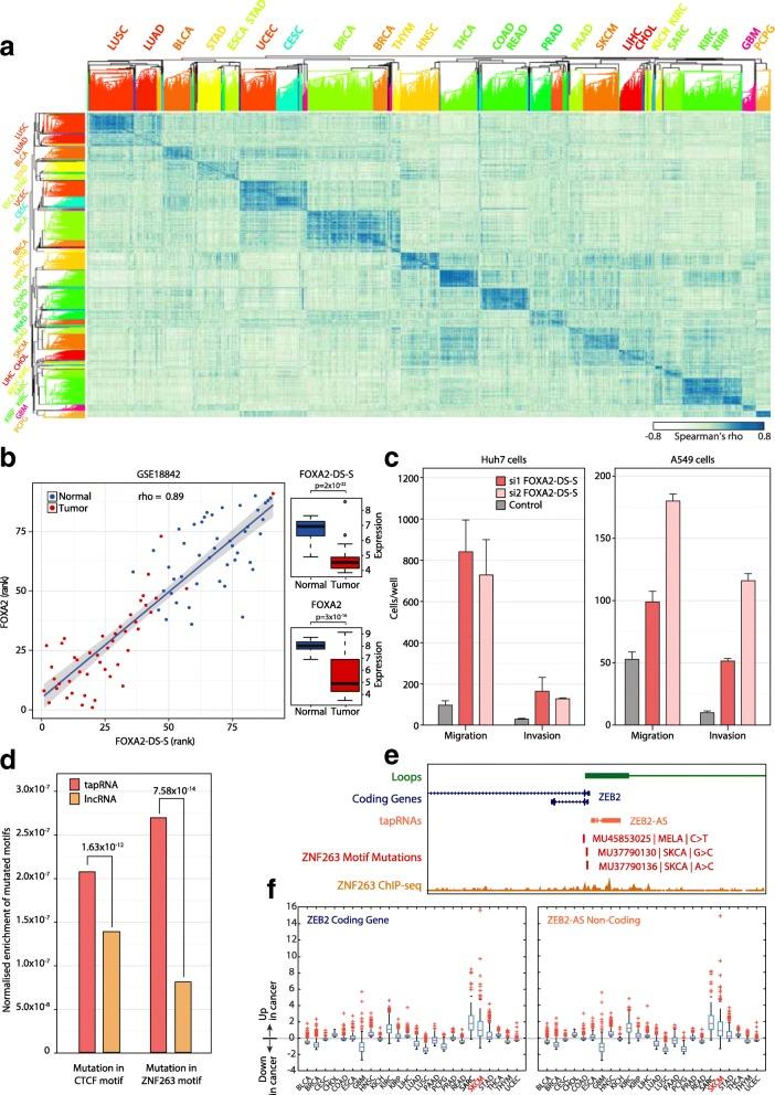 https://cdn.ncbi.nlm.nih.gov/pmc/blobs/2257/5853149/100c80168ece/13059_2018_1405_Fig6_HTML.jpg