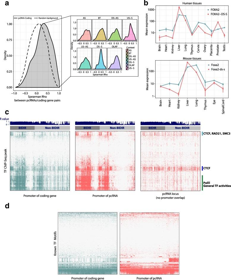https://cdn.ncbi.nlm.nih.gov/pmc/blobs/2257/5853149/9bc7ad379621/13059_2018_1405_Fig2_HTML.jpg