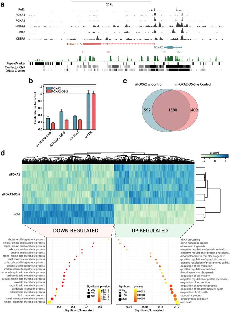 https://cdn.ncbi.nlm.nih.gov/pmc/blobs/2257/5853149/b683c3bfebc0/13059_2018_1405_Fig5_HTML.jpg
