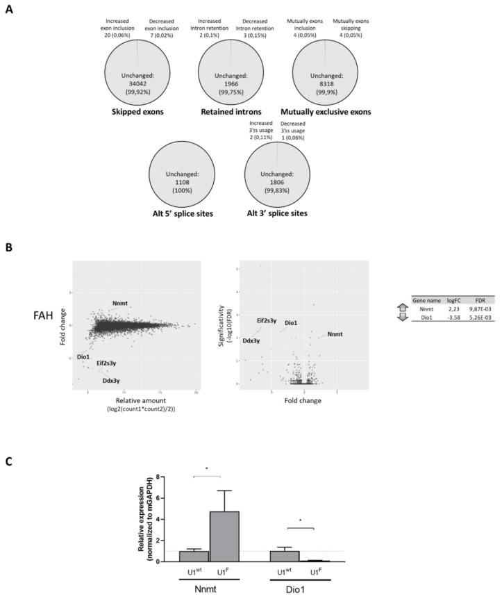 https://cdn.ncbi.nlm.nih.gov/pmc/blobs/2257/7139742/e390e3fc7d60/ijms-21-02136-g003.jpg