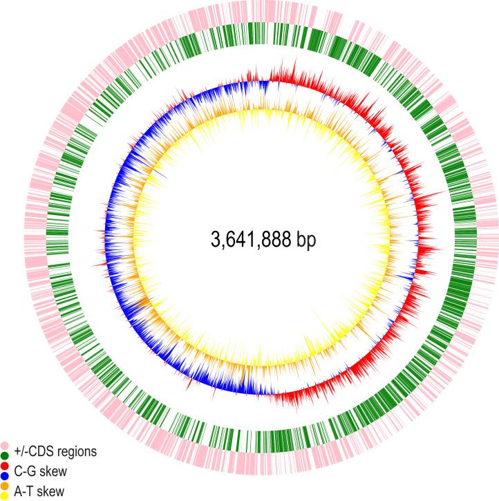 https://cdn.ncbi.nlm.nih.gov/pmc/blobs/2258/11338360/2a0d60ddbfd0/aem.00603-24.f004.jpg