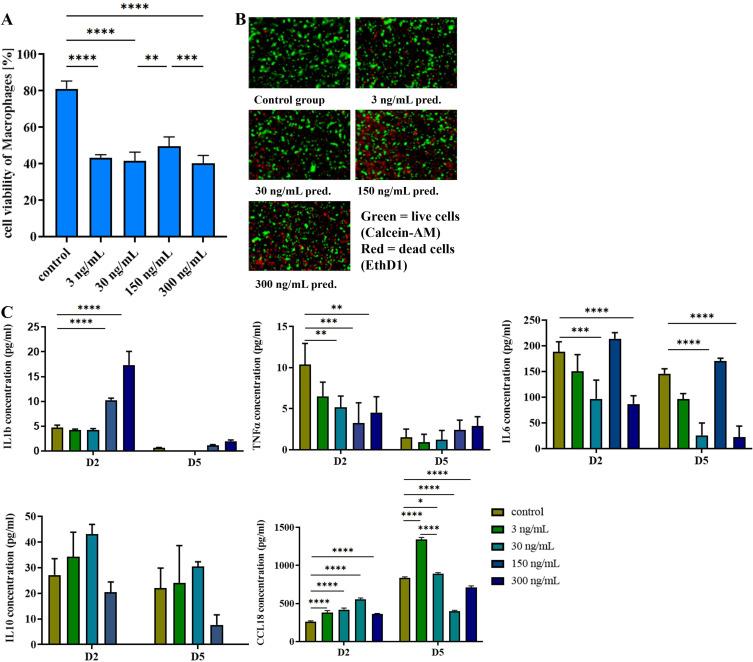 https://cdn.ncbi.nlm.nih.gov/pmc/blobs/2259/11625639/98b076356602/JIR-17-10383-g0003.jpg