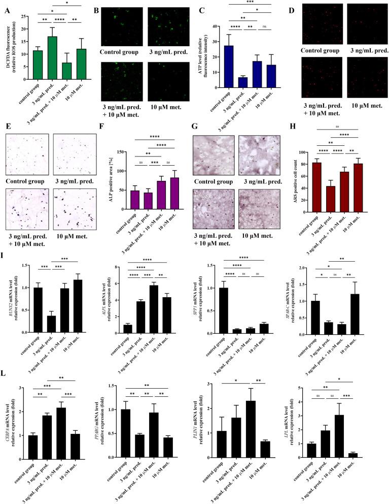 https://cdn.ncbi.nlm.nih.gov/pmc/blobs/2259/11625639/f81a884bfbf0/JIR-17-10383-g0002.jpg