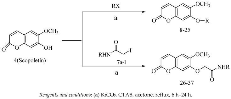 https://cdn.ncbi.nlm.nih.gov/pmc/blobs/225d/6102537/b0b50f5312bb/molecules-23-00995-sch002.jpg