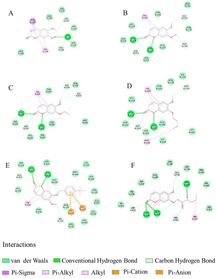 https://cdn.ncbi.nlm.nih.gov/pmc/blobs/225d/6102537/ca9d27e4a397/molecules-23-00995-g008.jpg
