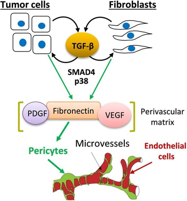 https://cdn.ncbi.nlm.nih.gov/pmc/blobs/225e/6008941/0c85dfa47707/12885_2018_4587_Fig6_HTML.jpg