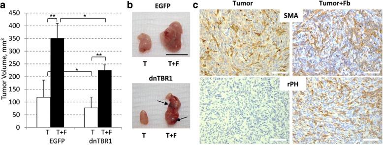 https://cdn.ncbi.nlm.nih.gov/pmc/blobs/225e/6008941/13172df3b667/12885_2018_4587_Fig1_HTML.jpg