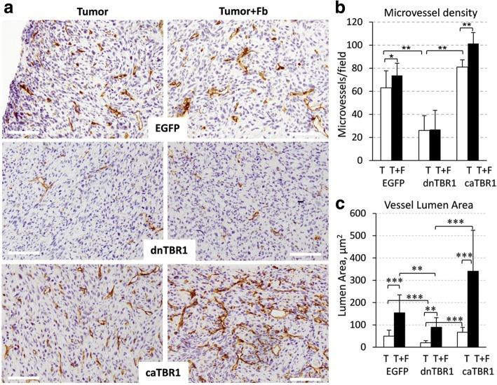 https://cdn.ncbi.nlm.nih.gov/pmc/blobs/225e/6008941/21a85c23ea2d/12885_2018_4587_Fig2_HTML.jpg