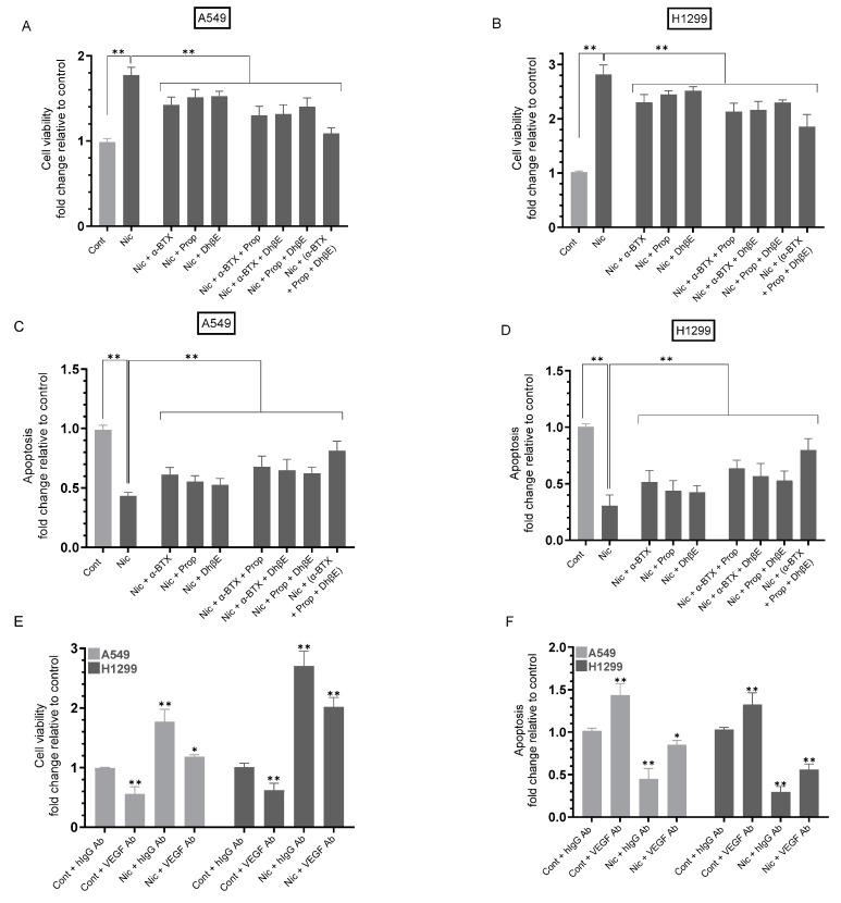 https://cdn.ncbi.nlm.nih.gov/pmc/blobs/225f/10705358/8b313ecea86c/cancers-15-05500-g007.jpg