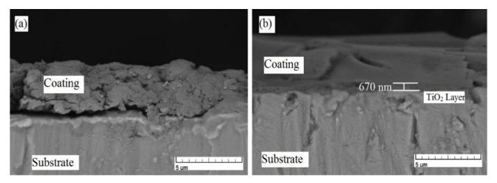 https://cdn.ncbi.nlm.nih.gov/pmc/blobs/2261/7711523/8176612c5120/bioengineering-07-00127-g005.jpg