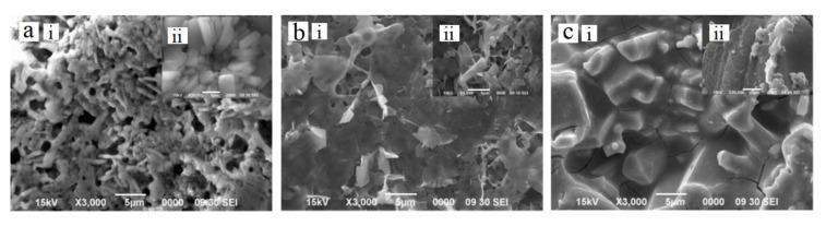 https://cdn.ncbi.nlm.nih.gov/pmc/blobs/2261/7711523/b7a7b303c605/bioengineering-07-00127-g003.jpg