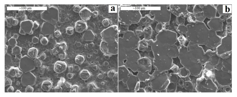 https://cdn.ncbi.nlm.nih.gov/pmc/blobs/2261/7711523/d1704886c257/bioengineering-07-00127-g004.jpg