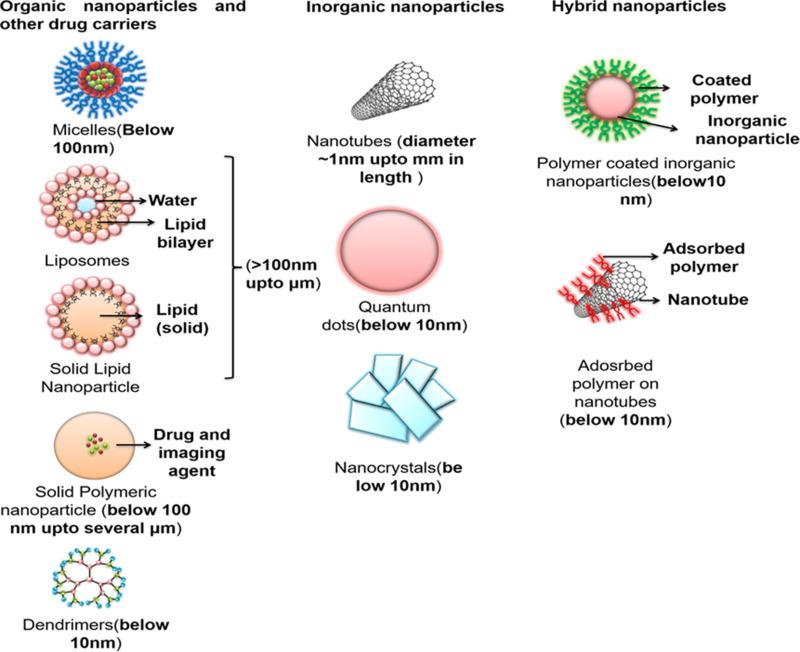 https://cdn.ncbi.nlm.nih.gov/pmc/blobs/2262/7266405/3b1d2f05b5c2/IJN-15-3803-g0005.jpg