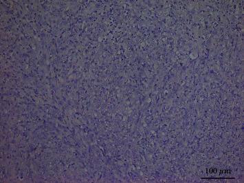 https://cdn.ncbi.nlm.nih.gov/pmc/blobs/2264/8629611/514396d339d1/IJD2021-4089549.002.jpg