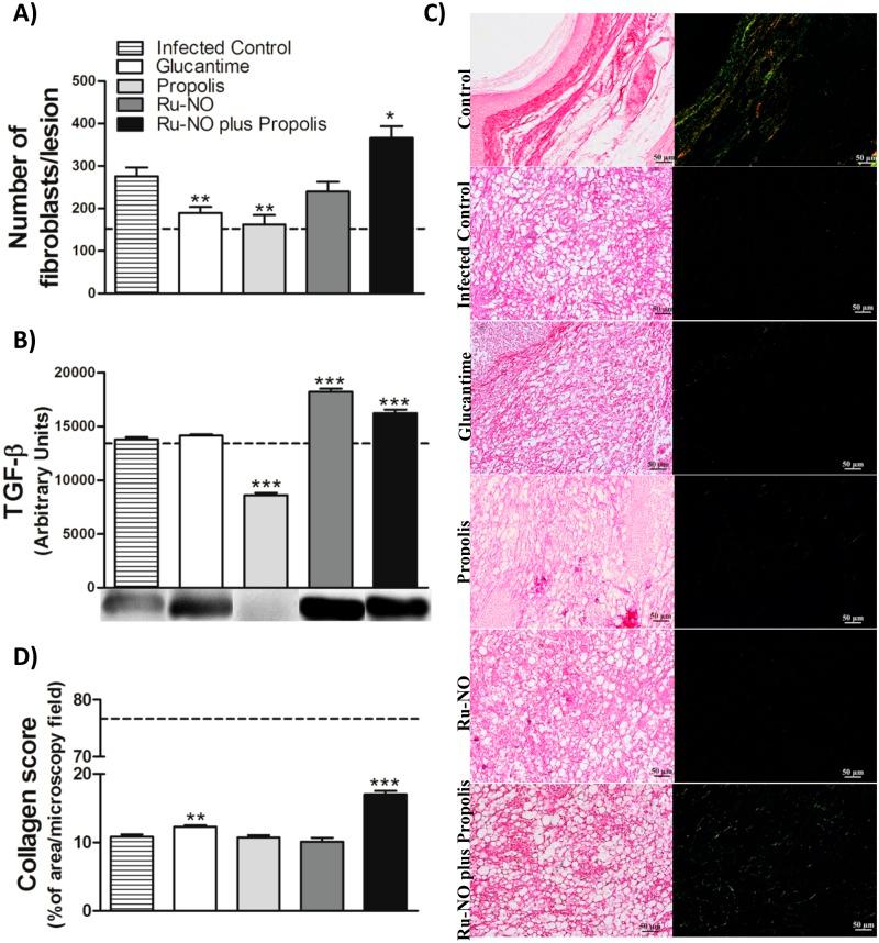 https://cdn.ncbi.nlm.nih.gov/pmc/blobs/2265/4431861/51c6a5bdaedb/pone.0125101.g006.jpg