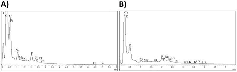 https://cdn.ncbi.nlm.nih.gov/pmc/blobs/2265/4431861/73f3404749d9/pone.0125101.g001.jpg