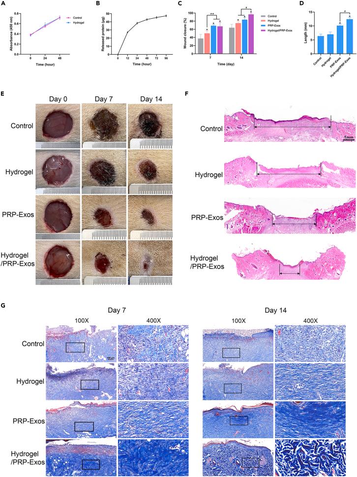 https://cdn.ncbi.nlm.nih.gov/pmc/blobs/2266/10637946/948e799a7d38/gr7.jpg