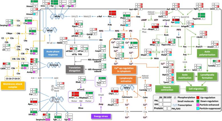 https://cdn.ncbi.nlm.nih.gov/pmc/blobs/2268/8235648/159ea0f6adba/12989_2021_417_Fig5_HTML.jpg