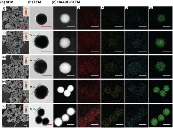 https://cdn.ncbi.nlm.nih.gov/pmc/blobs/2269/12362805/b90ac7b6372c/SMSC-5-2500151-g002.jpg