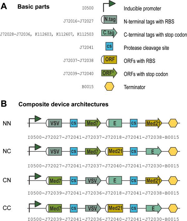https://cdn.ncbi.nlm.nih.gov/pmc/blobs/2269/3563576/ced78ea57a82/1754-1611-7-2-1.jpg