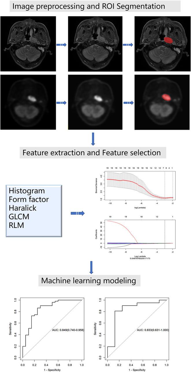 https://cdn.ncbi.nlm.nih.gov/pmc/blobs/2269/7506153/c053d1124076/fonc-10-01619-g0001.jpg