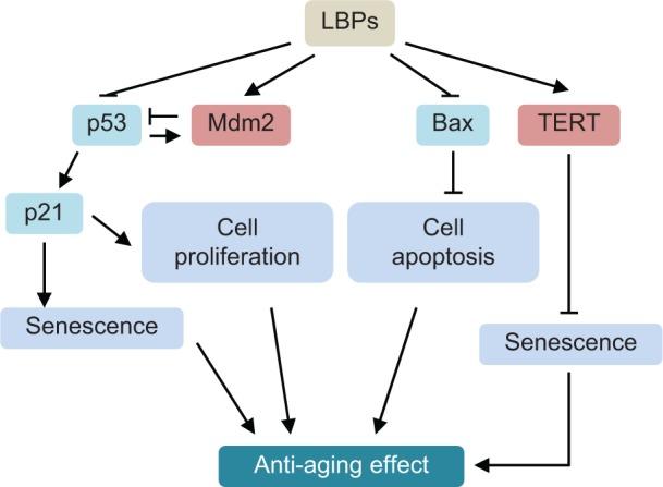 https://cdn.ncbi.nlm.nih.gov/pmc/blobs/226b/4277126/fbf3d537e3b8/dddt-9-033Fig2.jpg