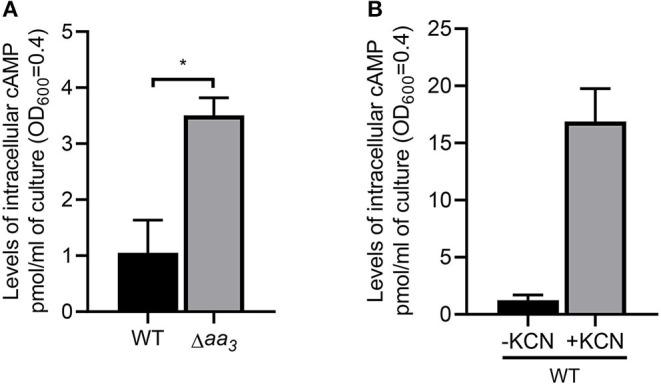 https://cdn.ncbi.nlm.nih.gov/pmc/blobs/226b/7739888/eeb3731c90c3/fmicb-11-608624-g0008.jpg