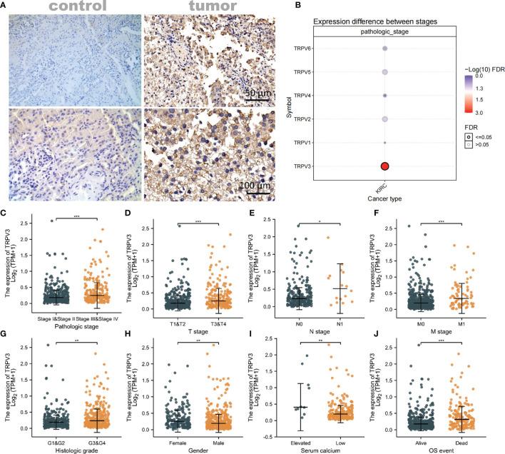 https://cdn.ncbi.nlm.nih.gov/pmc/blobs/226c/9086597/78638224531c/fimmu-13-872170-g007.jpg