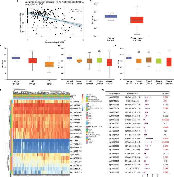 https://cdn.ncbi.nlm.nih.gov/pmc/blobs/226c/9086597/8065c2640d46/fimmu-13-872170-g008.jpg