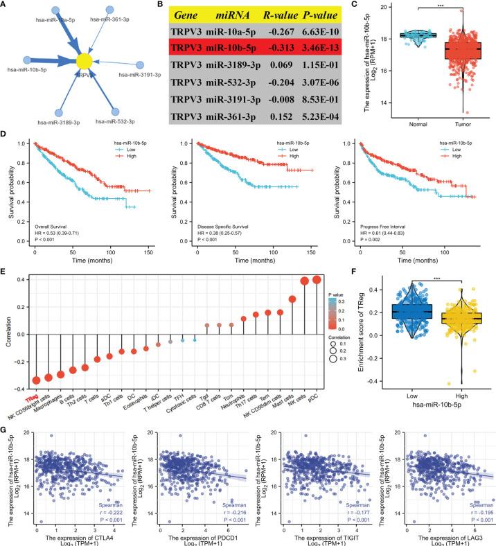 https://cdn.ncbi.nlm.nih.gov/pmc/blobs/226c/9086597/9364937fd664/fimmu-13-872170-g012.jpg