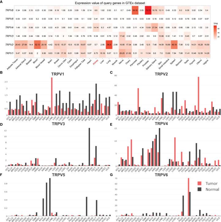 https://cdn.ncbi.nlm.nih.gov/pmc/blobs/226c/9086597/9a65857decd8/fimmu-13-872170-g002.jpg