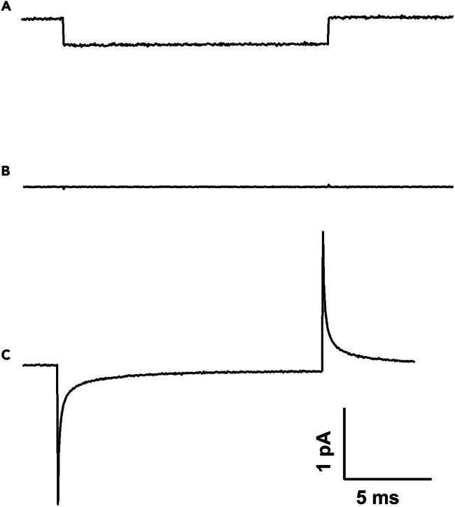 https://cdn.ncbi.nlm.nih.gov/pmc/blobs/2271/12337184/1e477536b763/gr3.jpg