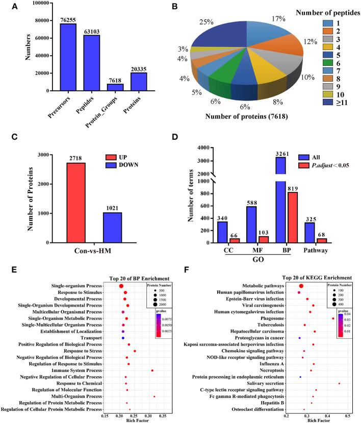https://cdn.ncbi.nlm.nih.gov/pmc/blobs/2273/9393364/7dd6224c7f10/fvets-09-980963-g0002.jpg